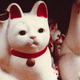 Illustration for article titled Our week of 1983 recommendations ends with Chris Marker’s glorious essay film, Sans Soleil